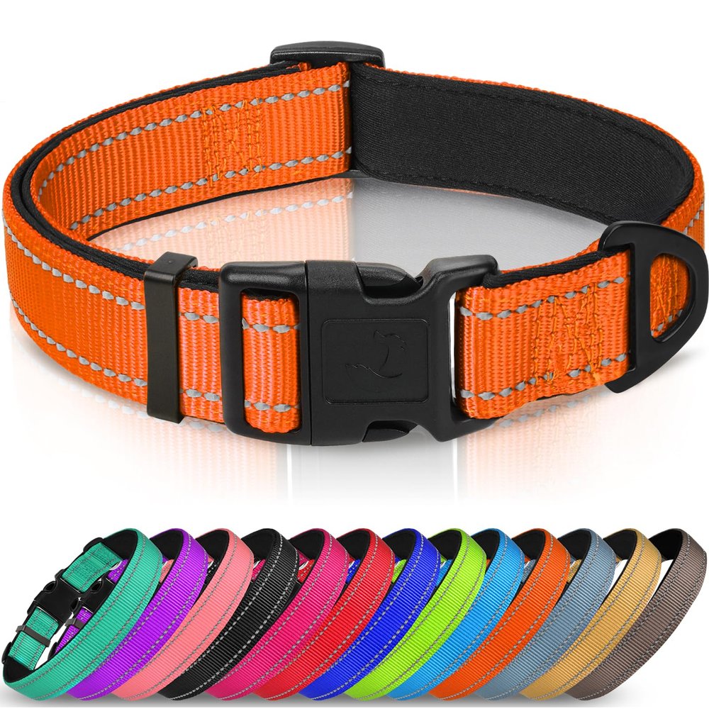 Joytale Dog Collar, Padded Neoprene Nylon Adjustable Collar for Medium Dogs, Soft and Reflective, M, Orange