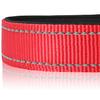 Joytale Dog Collar, Padded Neoprene Nylon Adjustable Collar for Medium Dogs, Soft and Reflective, M, Red view 4