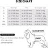 Breathable Dog Recovery Suit for Surgical Wounds view 3