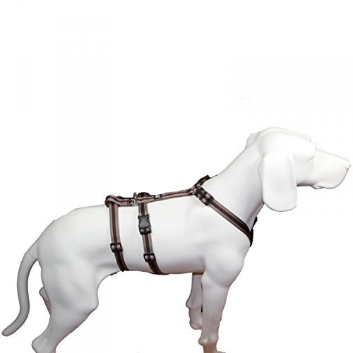 Feltmann NoExit Escape-Proof Dog Harness, Brown Pattern, 60–80 cm, 25 mm