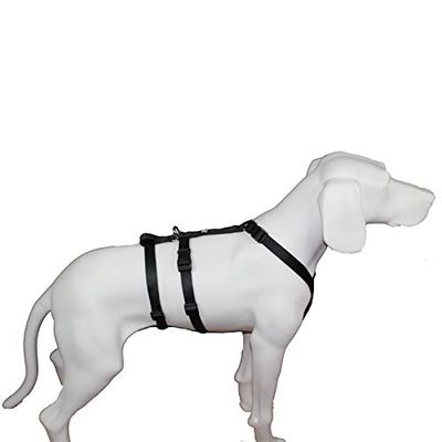 Feltmann NoExit Dog Harness - Escape-Proof, Panic Harness, Black, Waist Size 70-90 cm, 25 mm Bandwidth