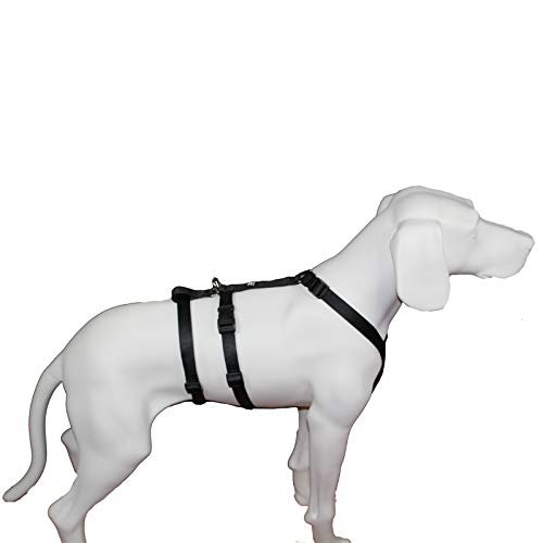 Feltmann NoExit Dog Harness - Escape-Proof, Panic Harness, Black, Waist Size 70-90 cm, 25 mm Bandwidth