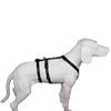 Feltmann NoExit Dog Harness - Escape-Proof, Panic Harness, Black, Waist Size 70-90 cm, 25 mm Bandwidth view 1