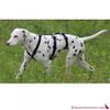 Feltmann NoExit Escape-Proof Dog Harness, Brown, 75–100 cm view 2