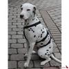 Feltmann NoExit Escape-Proof Dog Harness, Brown, 75–100 cm view 4