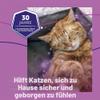 FELIWAY Classic Cat Calming Pheromone, 30-Day Refills, 6 Count view 2