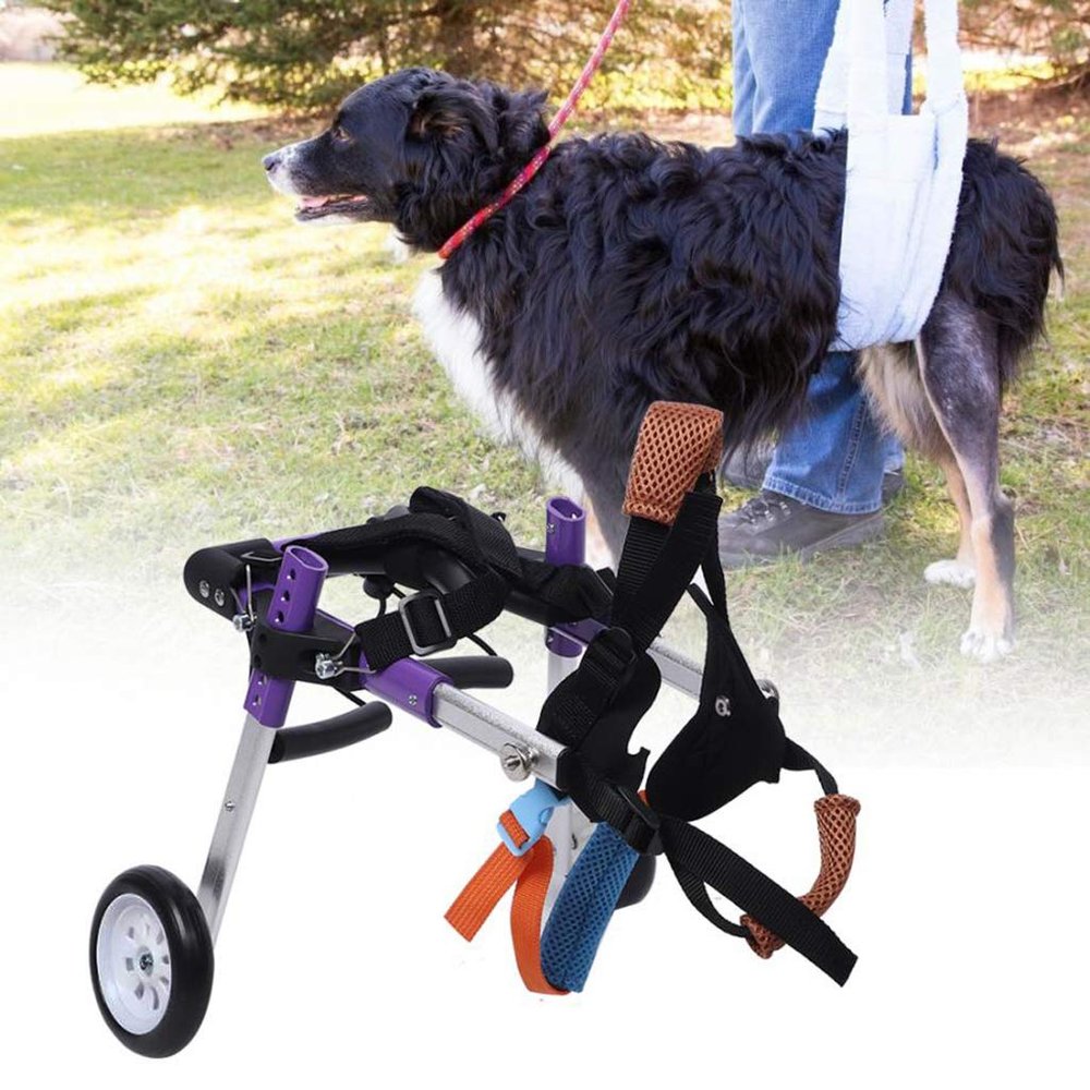 WRRAC Adjustable Pet Wheelchair for Dogs and Cats, XS (Hip Width: 5.1–7.8 in)