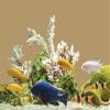 Finest Folia 1 m Aquarium/Terrarium Background Film, Self-Adhesive, Solid Color (50 cm, Light Brown) view 2