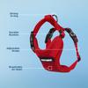 Best Pet Supplies Voyager Step-In Lock Pet Harness, All-Weather Mesh, Adjustable, Cats and Dogs, Red, XL view 4