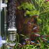 Zerodis Aquarium CO2 Diffuser view 2