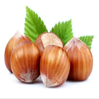 Food Flavoring | Hazelnut | 100 ml - Made in Germany