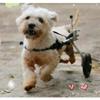 SYTH Dog Wheelchair for Hind-Leg Rehabilitation, 2-Wheel, for Small and Medium Dogs, 4–60 kg view 2