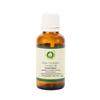 Cucumber Oil (Cucumis sativus), 10 ml (0.338 oz) — R V Essential view 1