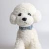Soft, Comfortable Adjustable Dog Collar with Blue Bow view 4