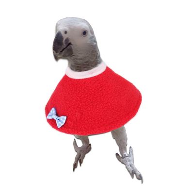 Dreamls Parrot Collar, Elizabethan Collar, Anti-Bite Collar for Parrots