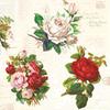 20 Vintage English Rose Napkins view 1