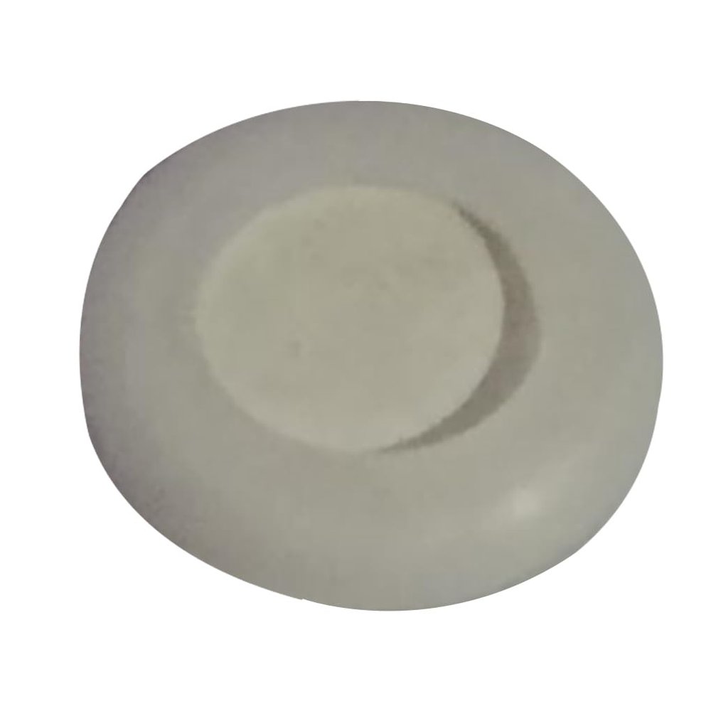 KIXZSAZ Aquarium Diffuser Replacement Disc, 17mm