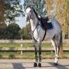 ARBO-INOX Horse Tendon Boots with Faux Fur Lining view 3