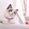 Dioche Japanese Style Cat Collar with Bell view 2