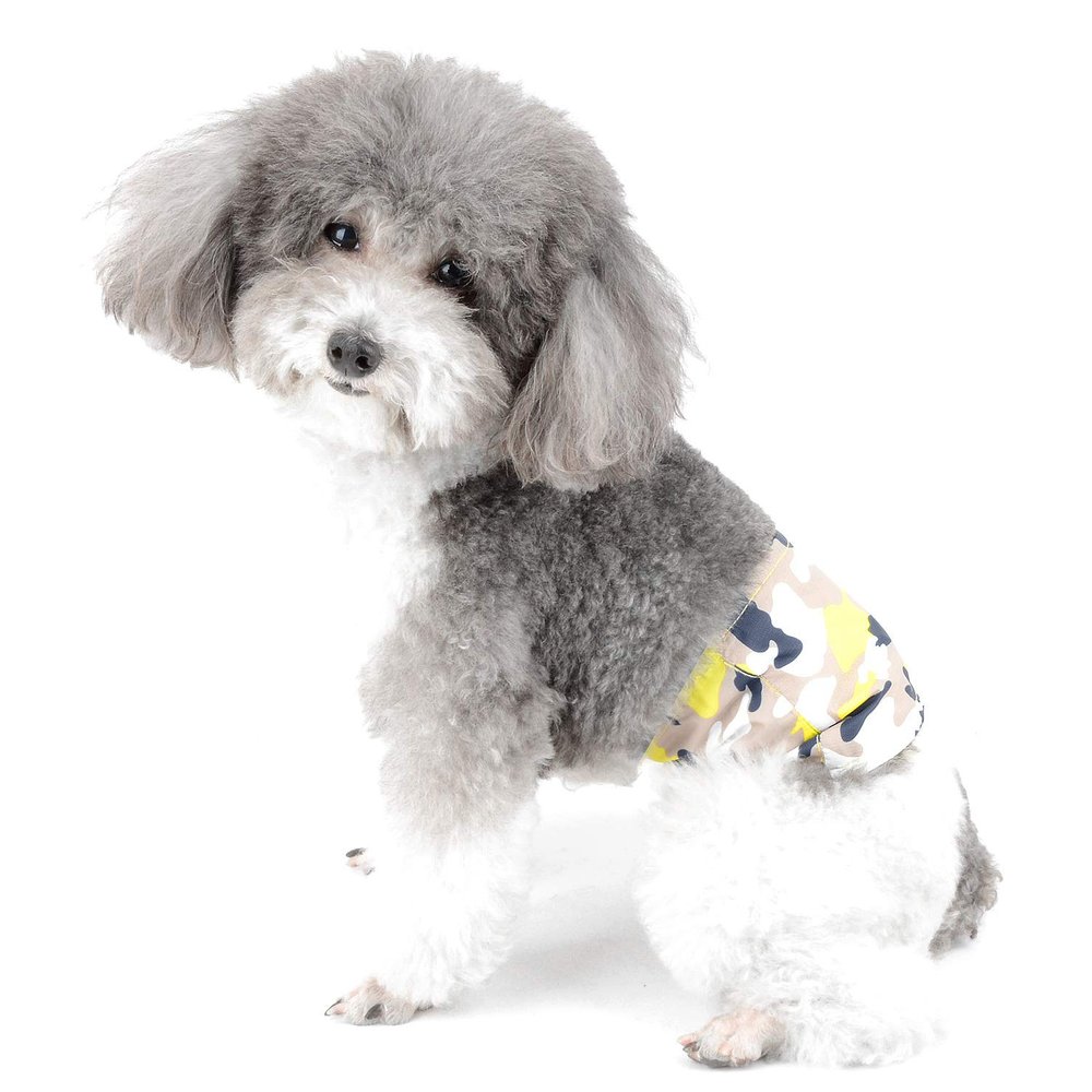 Ranphy Dog Diaper for Small Dogs, Washable and Reusable