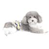 Ranphy Dog Diaper for Small Dogs, Washable and Reusable view 4