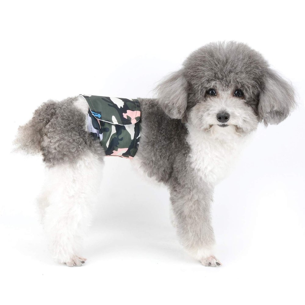 Ranphy Washable Reusable Leakproof Dog Diaper for Small Dogs, Green, Size L