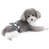 Ranphy Washable Reusable Leakproof Dog Diaper for Small Dogs, Green, Size L view 4