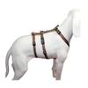 A. Hoffmann GmbH NoExit Escape-Proof Dog Harness, Panic Harness, Brown with Beige Paws, 70–90 cm Girth, 25 mm Width view 1