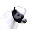 Lissy Fly Mask Without Nose Piece with Ears, Mini Shetty, Extra Eye Clearance, Black view 1