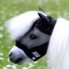 Lissy Fly Mask Without Nose Piece with Ears, Mini Shetty, Extra Eye Clearance, Black view 4