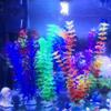 Jiacheng29 Aquarium Decoration, 30 cm, Artificial Grass Water Plant (Green) view 2