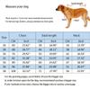 Dog Recovery Suit for Medium and Large Dogs, Camo, 38 cm view 4