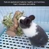 Fdit Apple Wood Hay Feeder for Rabbits and Small Pets view 4
