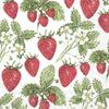 20 Napkins “Delicious,” Red Strawberries | Garden | Summer 33 x 33 cm view 1