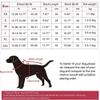 CHYIR Raincoat for Pets view 2