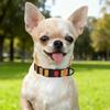 Taglory Reflective Dog Collar view 2