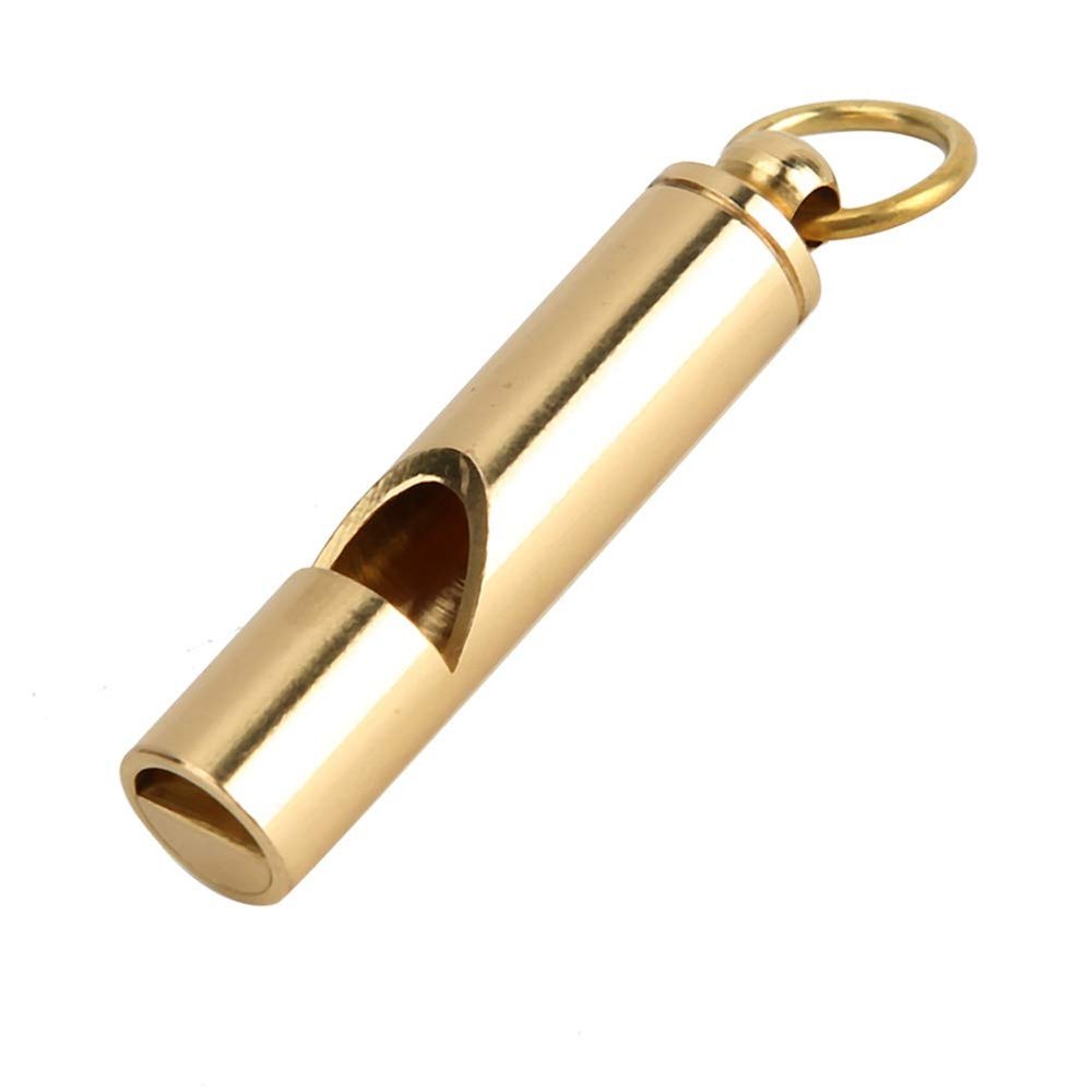 AMONIDA Clear and Loud Metal Bird Training Whistle with Ring