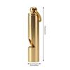 AMONIDA Clear and Loud Metal Bird Training Whistle with Ring view 4