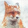 Boston International IHR 3-Ply Paper Napkins, 6.5 x 6.5 in, Winter Fox view 1