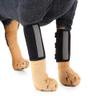 YMZ Joint Brace for Dogs, Reflective, Wound Protection and Knee Support, Size M, 11.5 x 17 cm, 2-Pack view 1