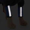 YMZ Joint Brace for Dogs, Reflective, Wound Protection and Knee Support, Size M, 11.5 x 17 cm, 2-Pack view 2