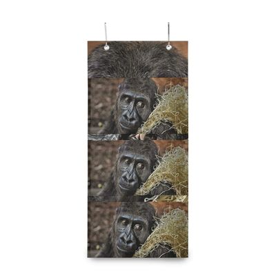 MONTOJ Shy Gorilla Door Organizer for Room, Bathroom