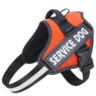 Belababy No-Pull Dog Harness, Breathable, Adjustable, Orange, XL