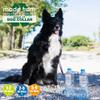 Ancol Recycled Plastic Dog Collar, Quick-Release Buckle, Size L view 3