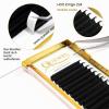 QUEWEL Self-Fanning Volume Lashes, 0.05 D Curl, 9–16 mm view 2