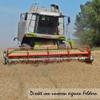 Petigi 15 kg Wheat Grain, Single Feedstuff for Chickens and Wild Birds view 4