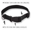 Monkimau Nylon Dog Collar for Large Dogs view 3