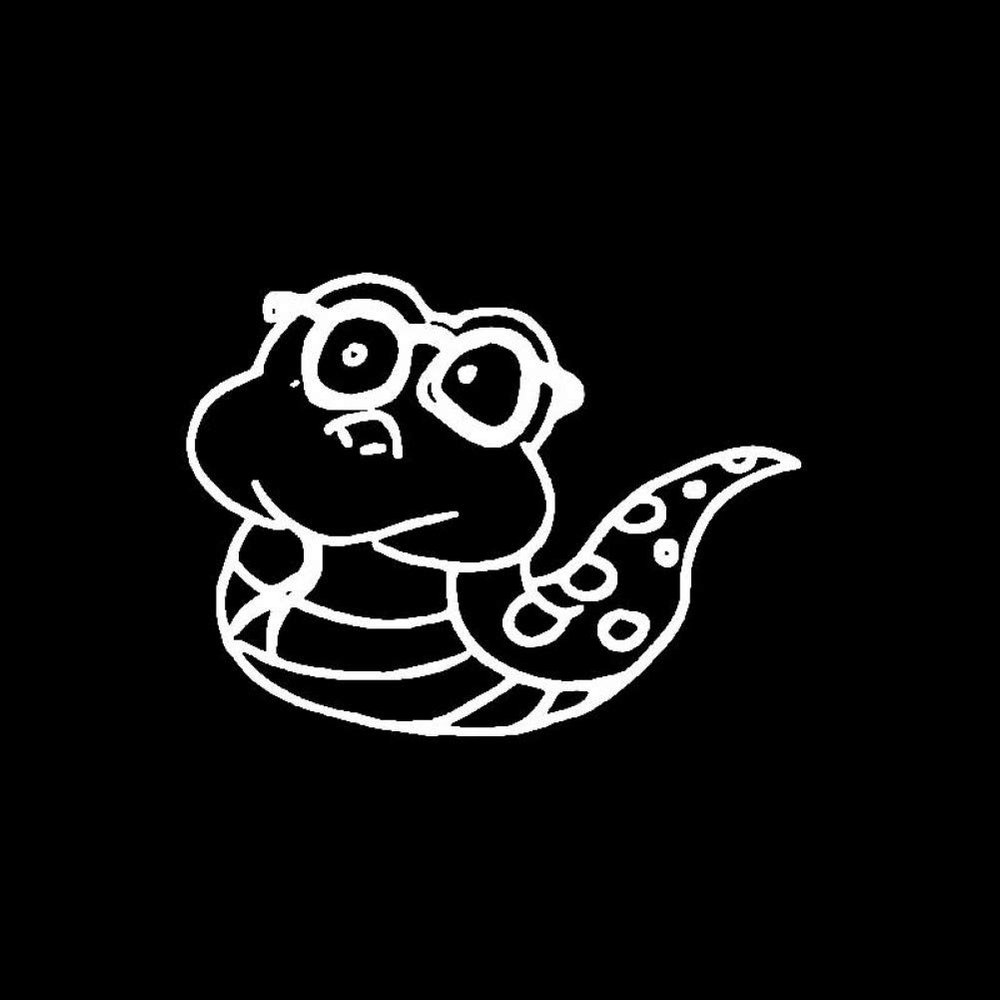 SUIFENG Car Sticker 5.8 x 4.4 in, Delicate Snake Cartoon, Artistic Cute Vinyl Decal, Black/Silver