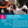 Wellness CORE Ocean 5 kg, Salmon & Tuna Dog Food view 3