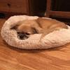 Orthopedic Calming Dog Bed view 2